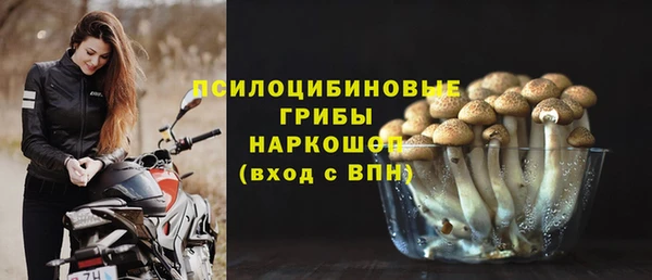 дживик Алексин