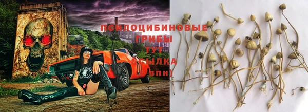 дживик Алексин