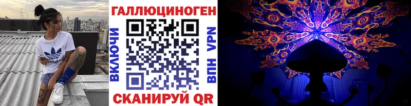 Псилоцибиновые грибы Cubensis blacksprut ссылка Губкин